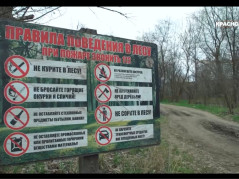 РАБОТА МОНИТОРИНГОВЫХ ГРУПП